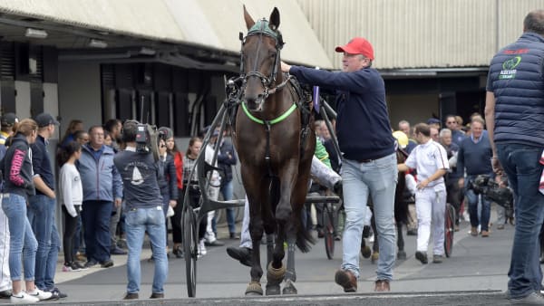 Foto: LARS JAKOBSSON / TR BILD