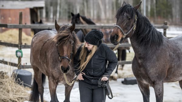 Foto: JENNY REHNMAN / TR BILD