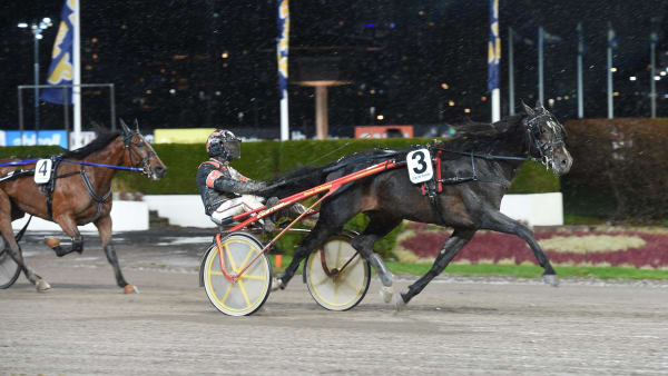 Foto: LARS JAKOBSSON / TR BILD