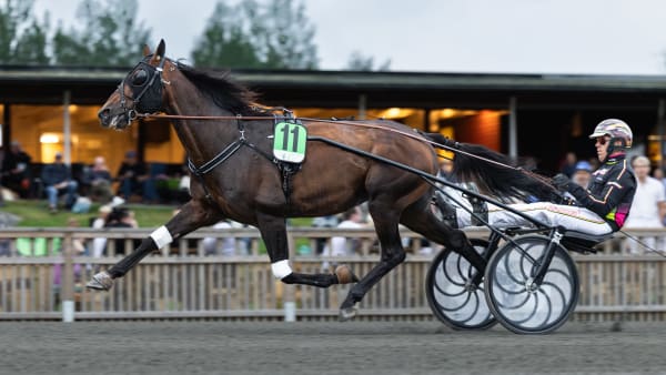 Foto: LENA EMMOTH / TR BILD