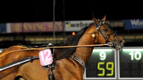 Foto: MICKE GUSTAFSSON/ALN