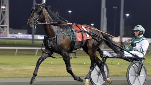 Foto: Stefan Melander/stalltz.se