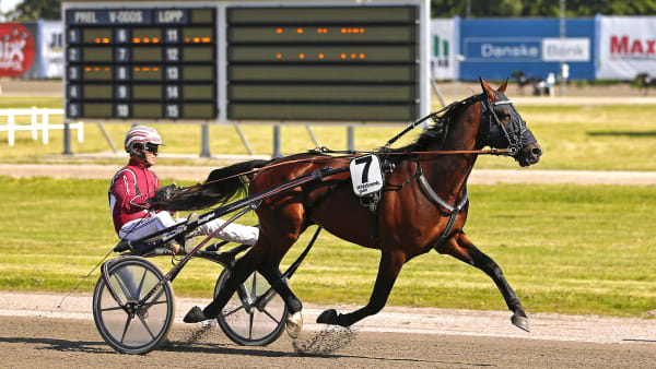 Foto: MARIA HOLMÉN / TR BILD