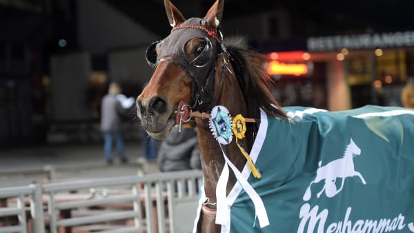 Foto: LARS JAKOBSSON / TR BILD