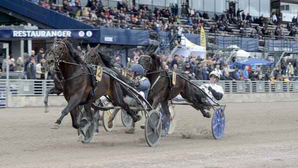 Foto: LARS JAKOBSSON / TR BILD