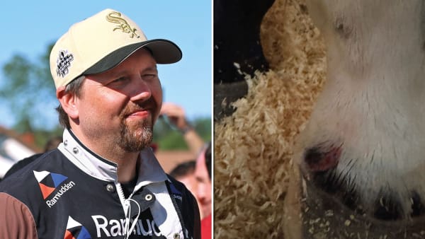 Foto: TR BILD/PRIVAT