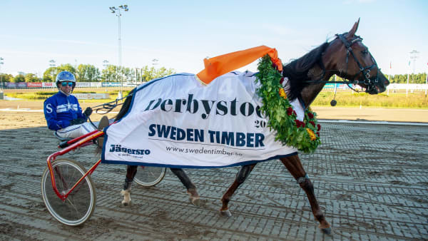 Foto: MIKAEL ROSENQUIST / TR BILD