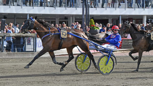 Foto: MALIN ALBINSSON / TR BILD