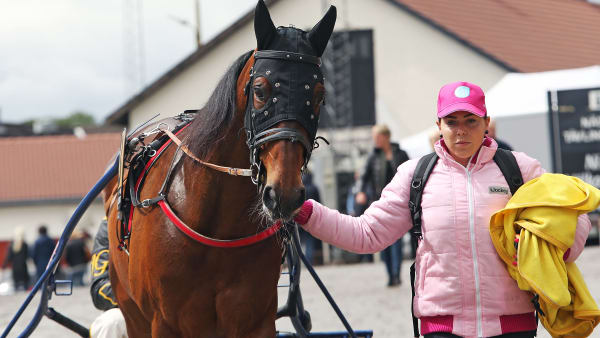 Foto: MATILDA ÖHRMAN / TR BILD