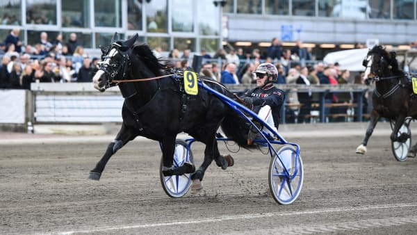 Foto: MALIN ALBINSSON / TR BILD