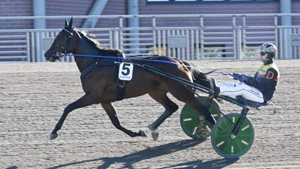 Foto: LARS JAKOBSSON / TR BILD