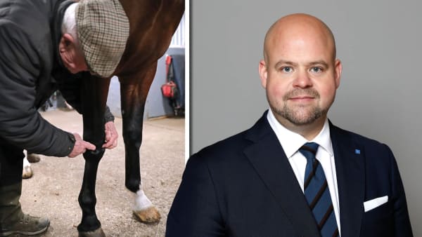 Foto: MARIA HOLMÉN/TR BILD & NINNI ANDERSSO