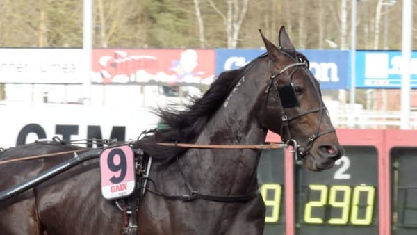 Foto: LEIF NORBERG/ALN