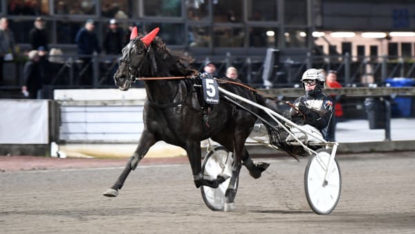 Foto: MALIN ALBINSSON / TR BILD