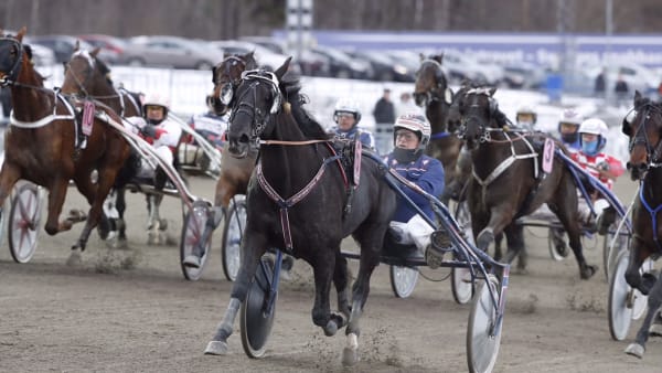 Foto: Micke Gustafsson/ALN