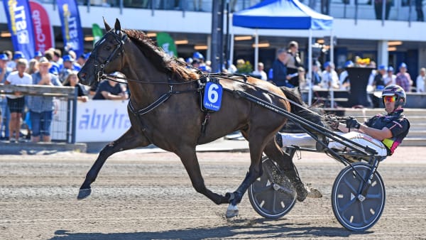 Foto: MALIN ALBINSSON / TR BILD