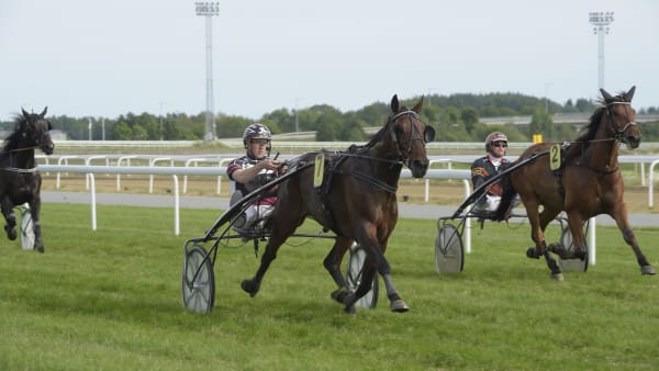 Foto: LARS JAKOBSSON / TR BILD