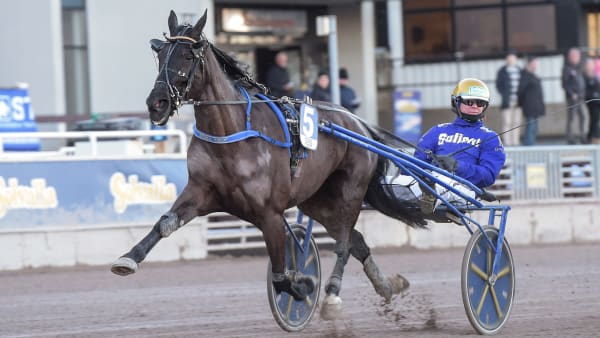 Foto: LARS JAKOBSSON / TR BILD