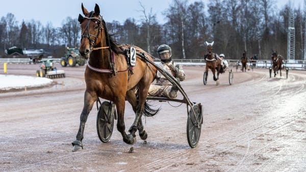 Foto: LENA EMMOTH / TR BILD