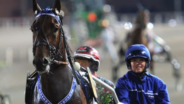 Foto: MIA TÖRNBERG/TRAVRONDEN