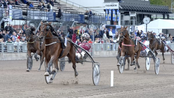 Foto: LARS JAKOBSSON/TR BILD