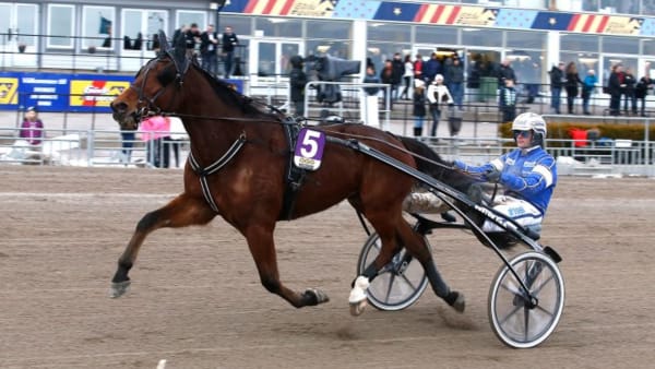 Foto: HANOLD/ALN