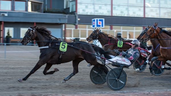 Foto: MIKAEL ROSENQUIST / TR BILD