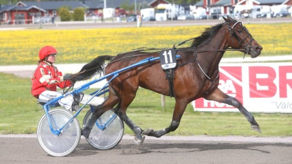 Foto: MICKE GUSTAFSSON/ALN