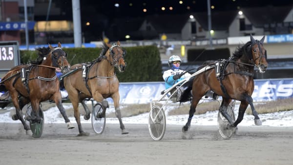 Foto: LARS JAKOBSSON / TR BILD