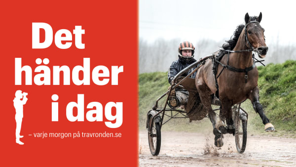 Foto: TR BILD