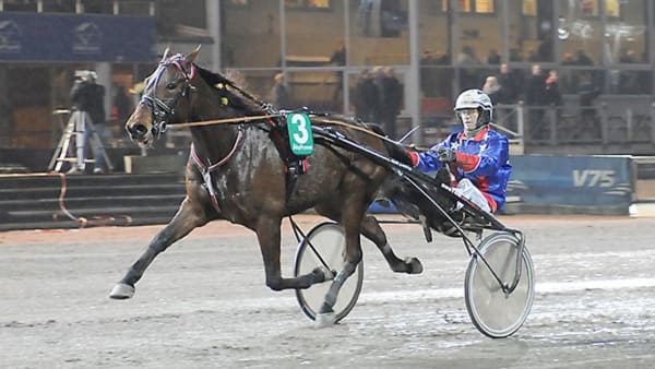 Foto: GÖRAN LINDSKOG/SIDMAKARN