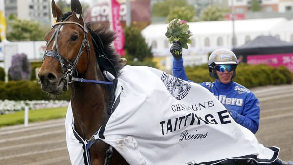 Foto: MICKE GUSTAFSSON/ALN