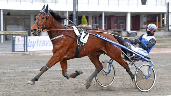 Foto: MALIN ALBINSSON / TR BILD