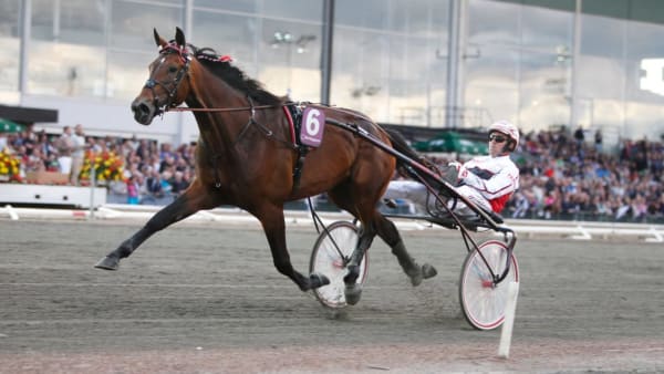 Foto: JEANNIE KARLSSON