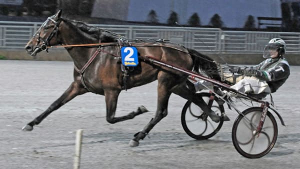 Foto: TOMMY ANDERSSON/ALN