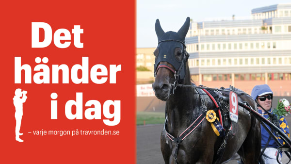 Foto: TR BILD