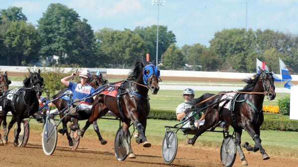 Foto: ADAM STRÖM/STALLTZ.SE