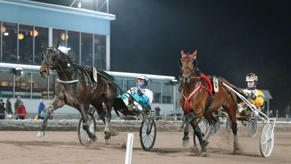 Foto: MARIA HOLMÉN / TR BILD