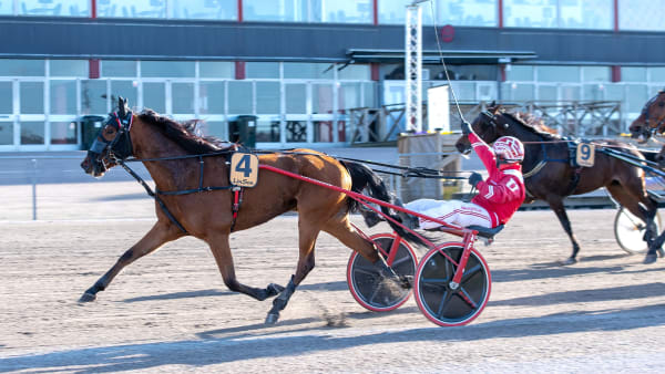 Foto: MIKAEL ROSENQUIST / TR BILD