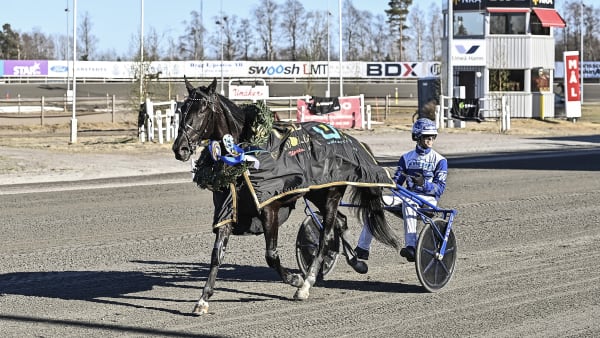 Foto: JENNY REHNMAN / TR BILD