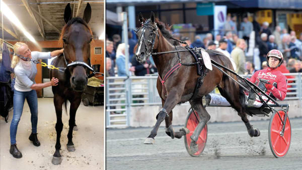 Foto: Privat/TR BILD