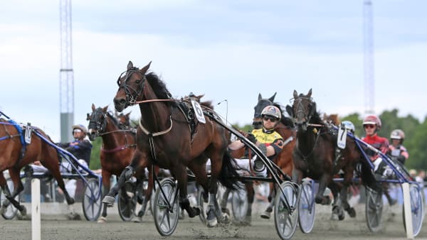 Foto: MARIA HOLMÉN / TR BILD