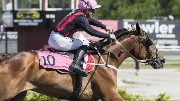 Foto: LENA EMMOTH / TR BILD