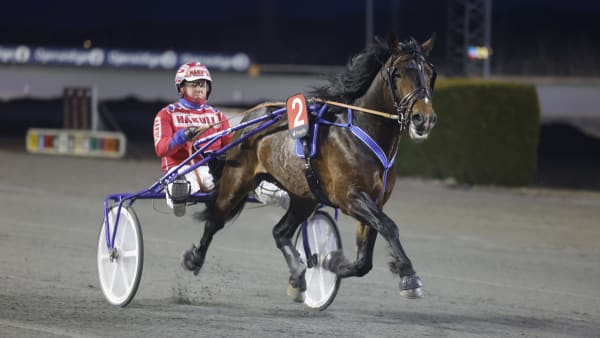 Foto: Hesteguiden.com