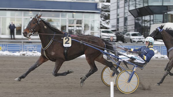 Foto: JEANNIE KARLSSON/TRAVRONDEN