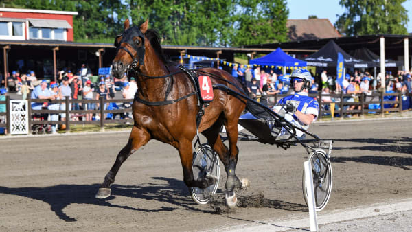 Foto: MALIN ALBINSSON / TR BILD