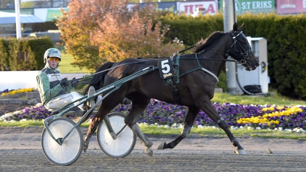 Foto: LARS JAKOBSSON / TR BILD