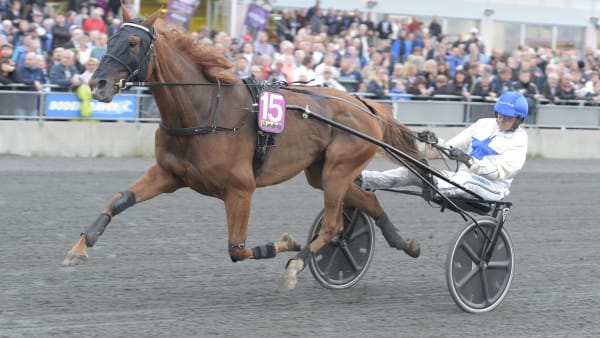 Foto: LEIF NORBERG/ALN