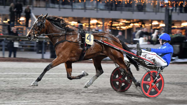 Foto: MALIN ALBINSSON / TR BILD