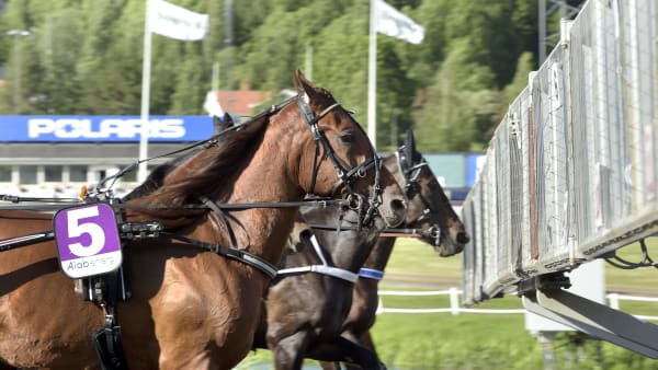 Foto: LARS JAKOBSSON / TR BILD